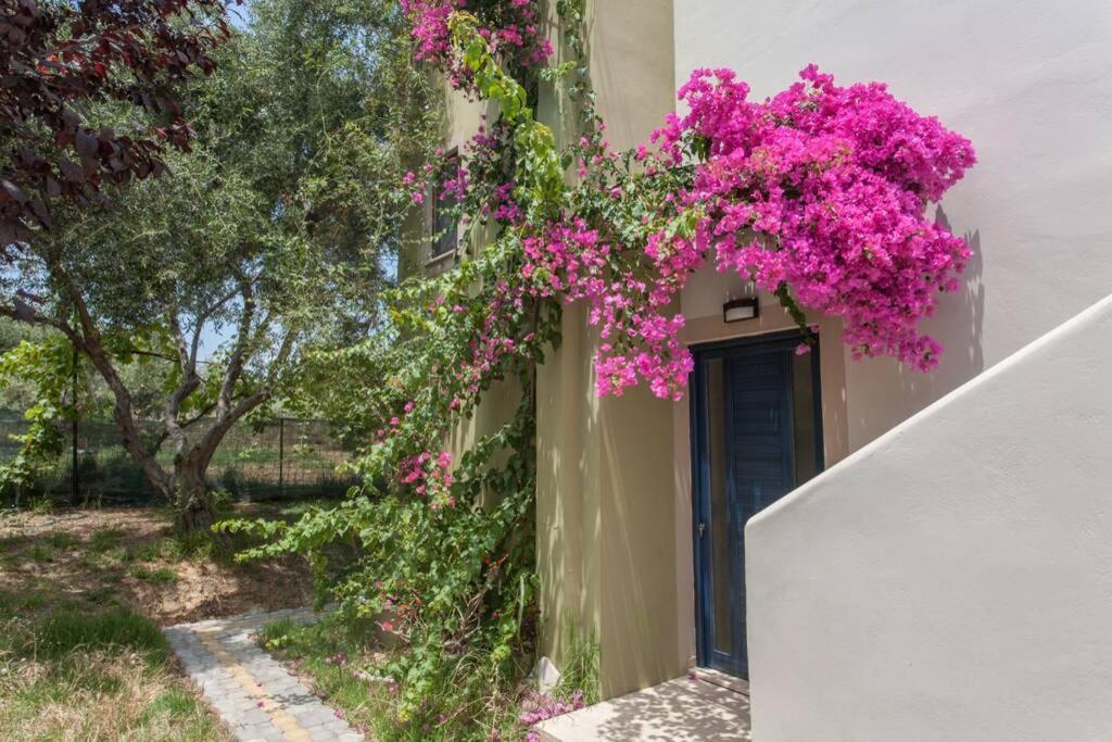 Villa Manolis Ханя Екстериор снимка